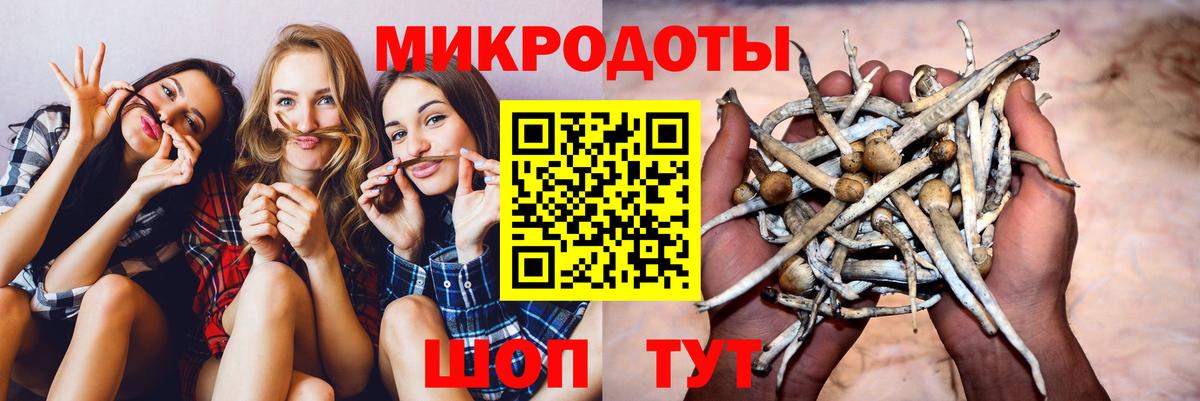 Псилоцибиновые грибы MAGIC MUSHROOMS  Галлюциногенные грибы прущие грибы  Тихвин  Вход с VPN 